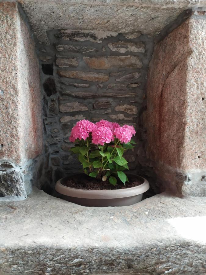ホテル Al San Michele ストレーザ エクステリア 写真